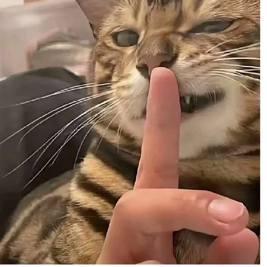 （——^O^）