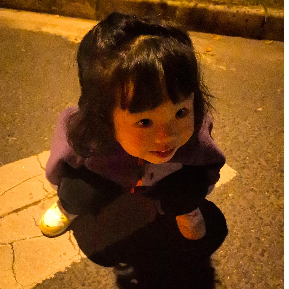 公主蕾拉