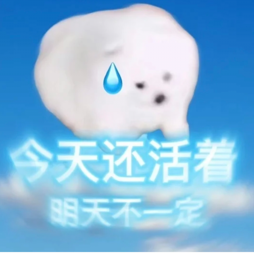 一团小坨坨