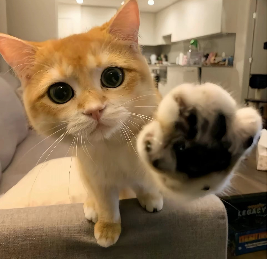 77
