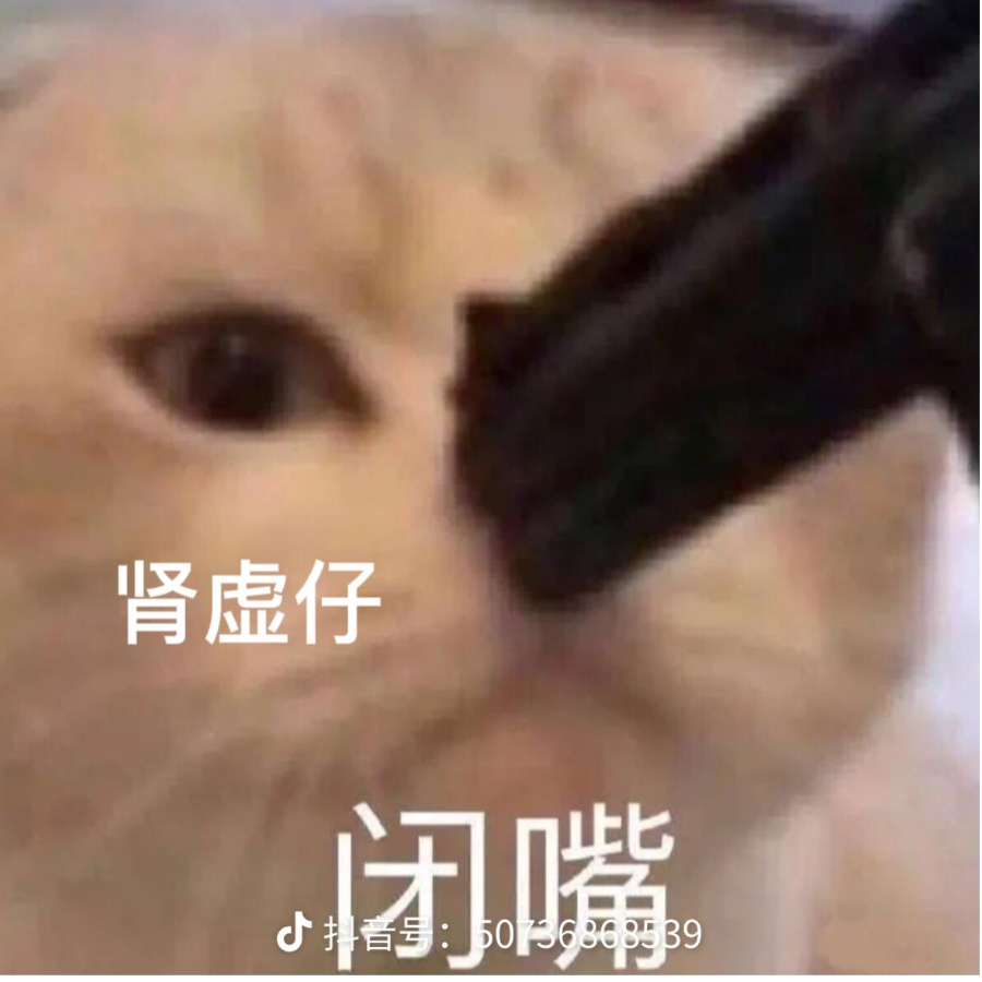 白肆很行
