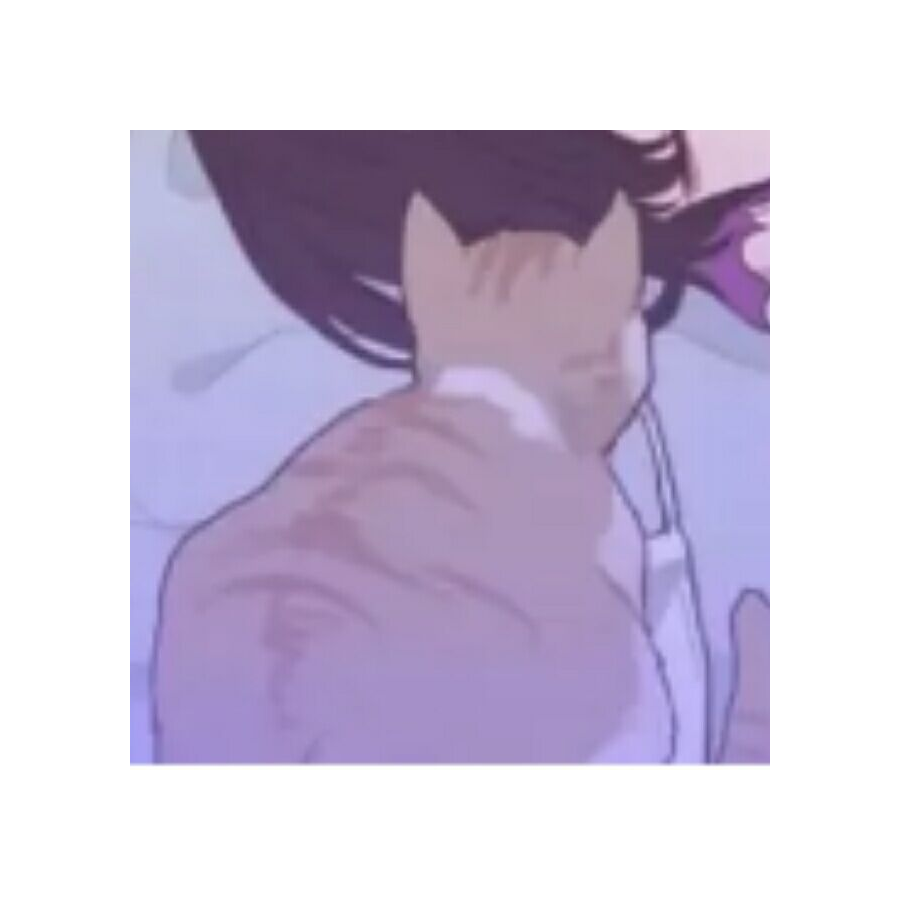 随便