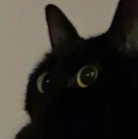 嗯