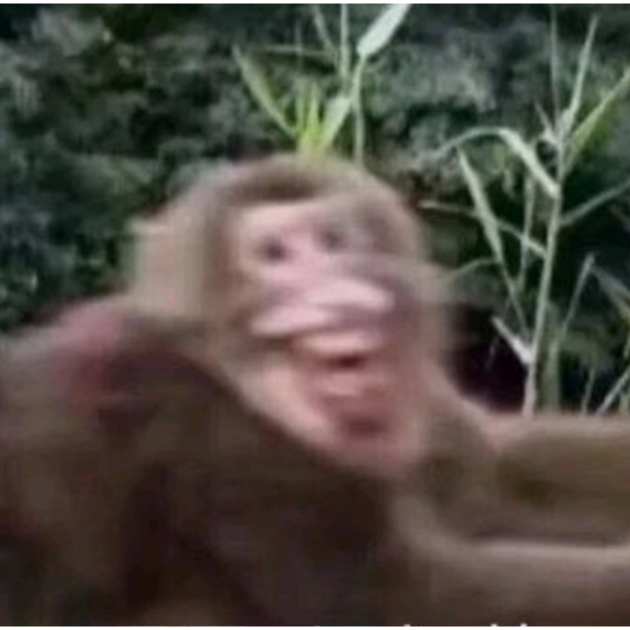 呲个大牙就是笑