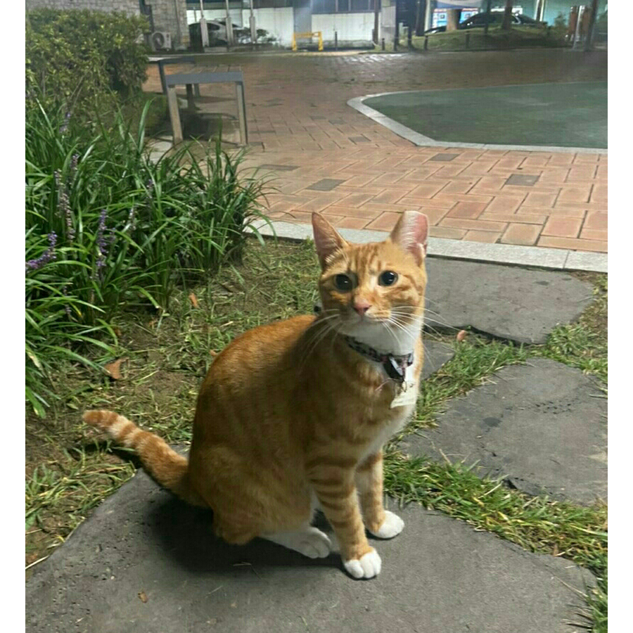 居里夫人