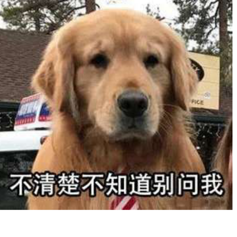 朝云闲坐