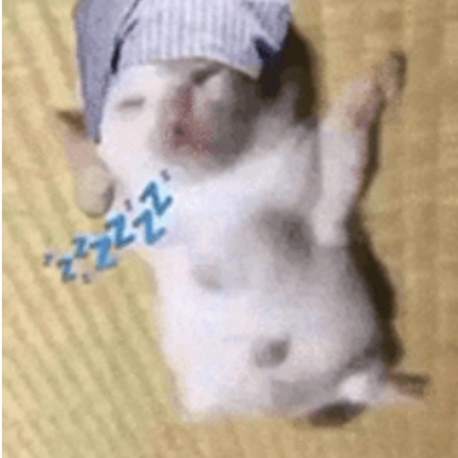 蛋小挞