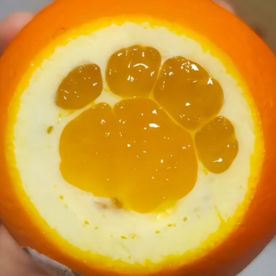 闲鱼很咸