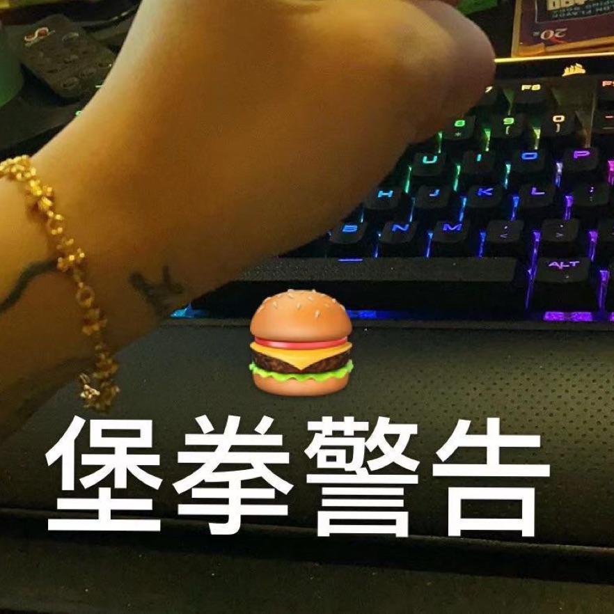 汉堡加冰块🍔