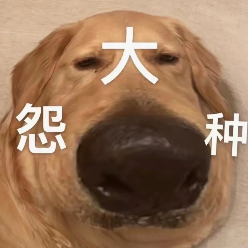 伯疏