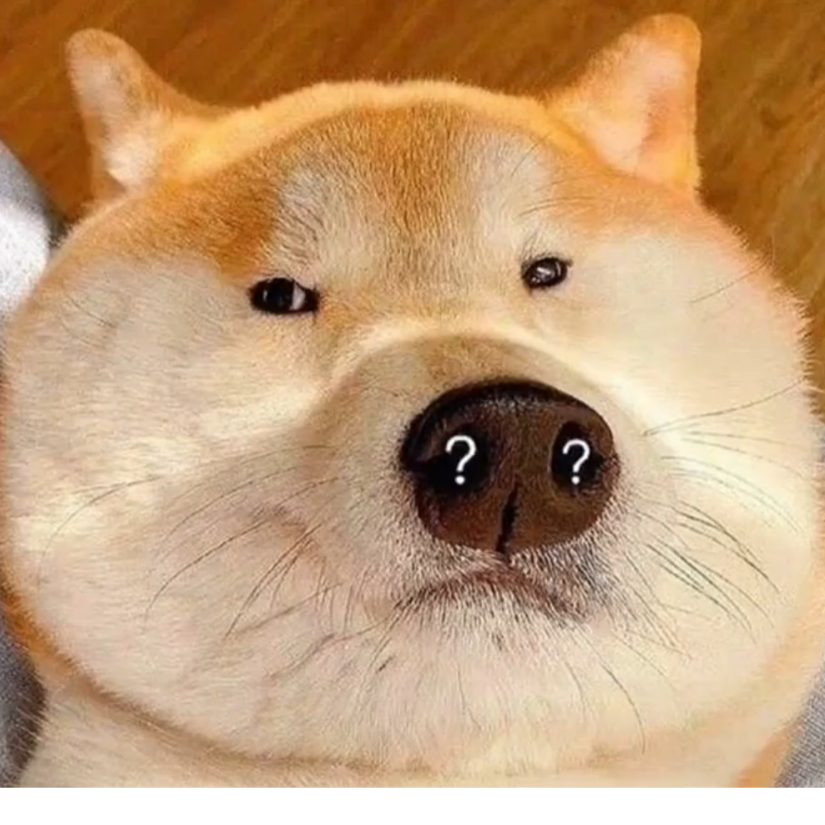 来包华子