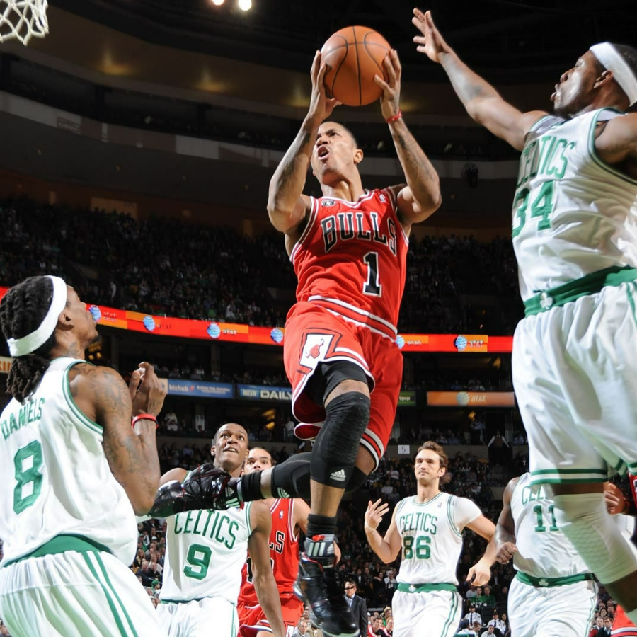D.rose