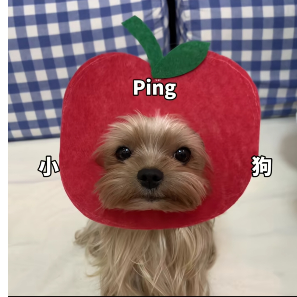 云与云的月