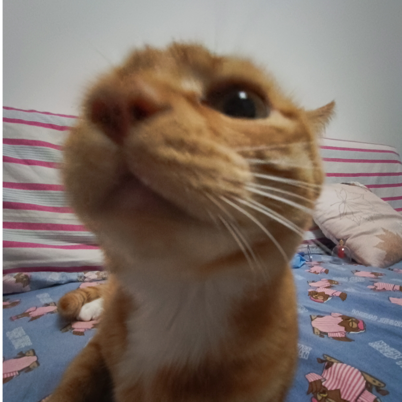 啊啊颀啊啊