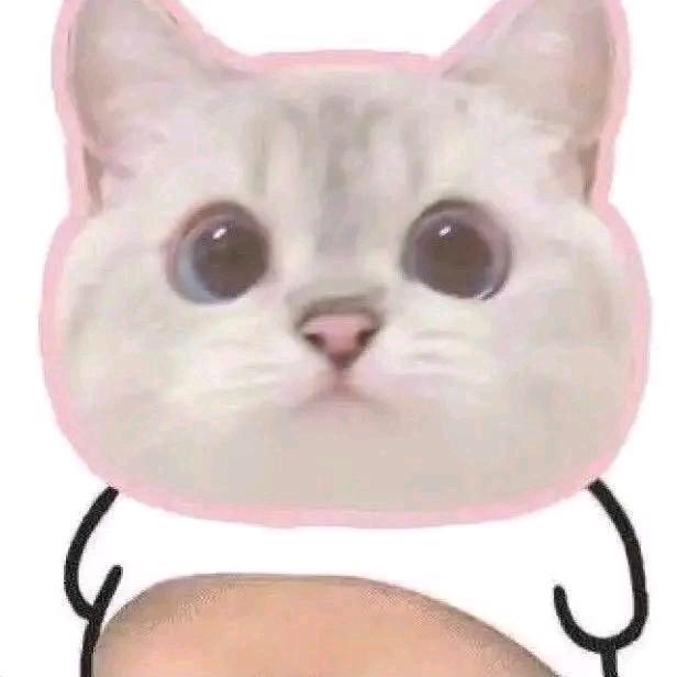 爱丽丝