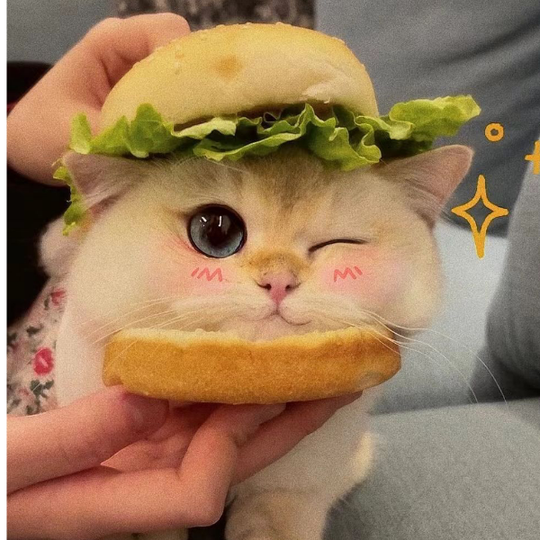余安淮