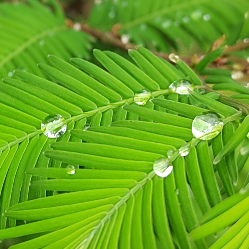 不浪漫罪名