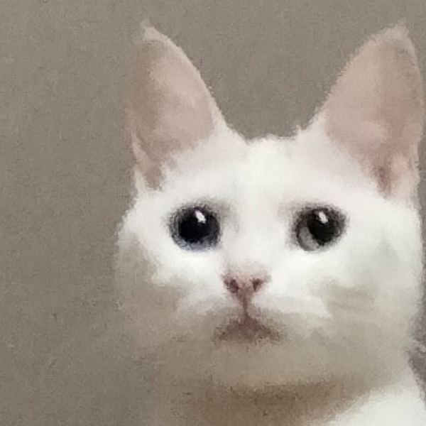 白色气球