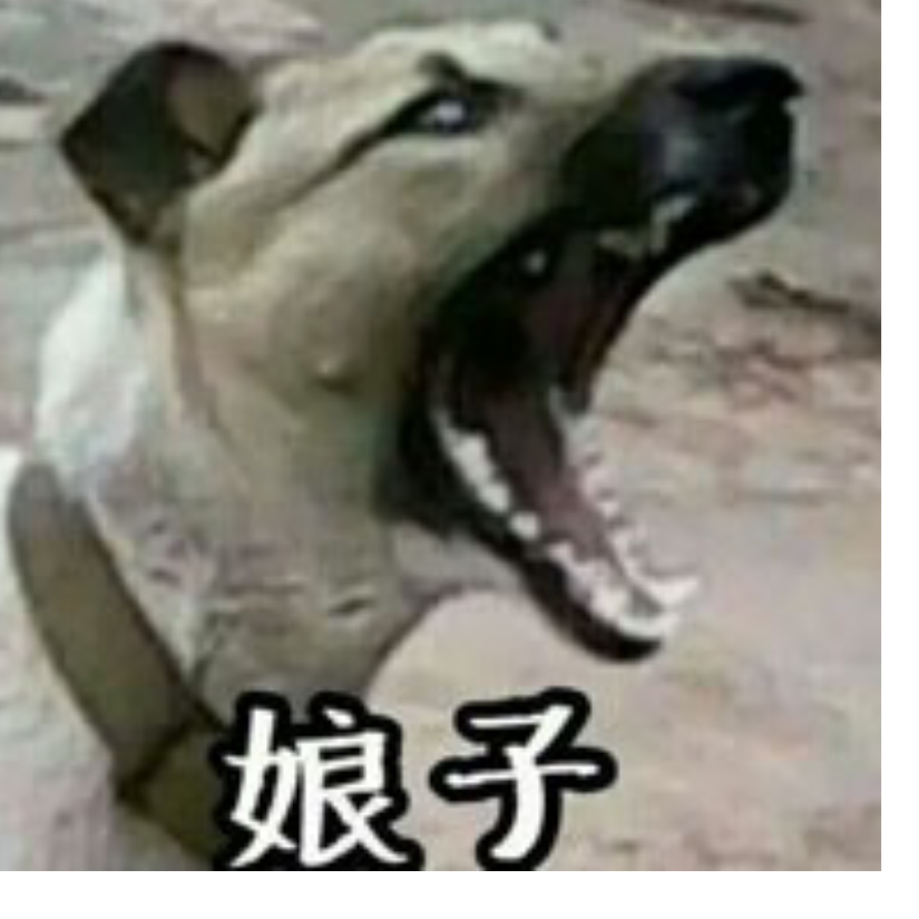 梦境