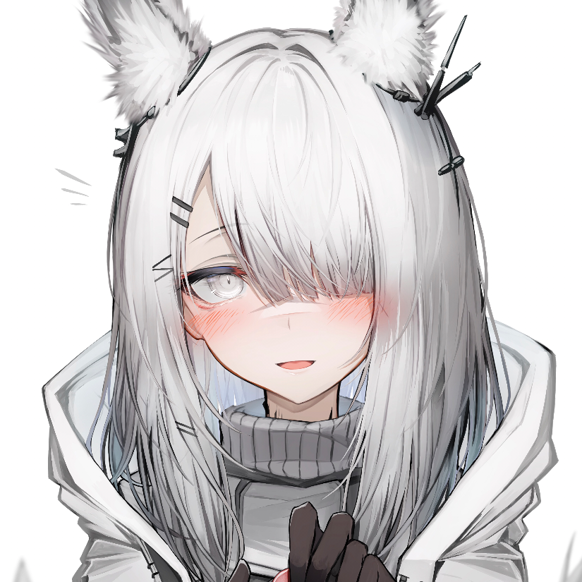白色风羽