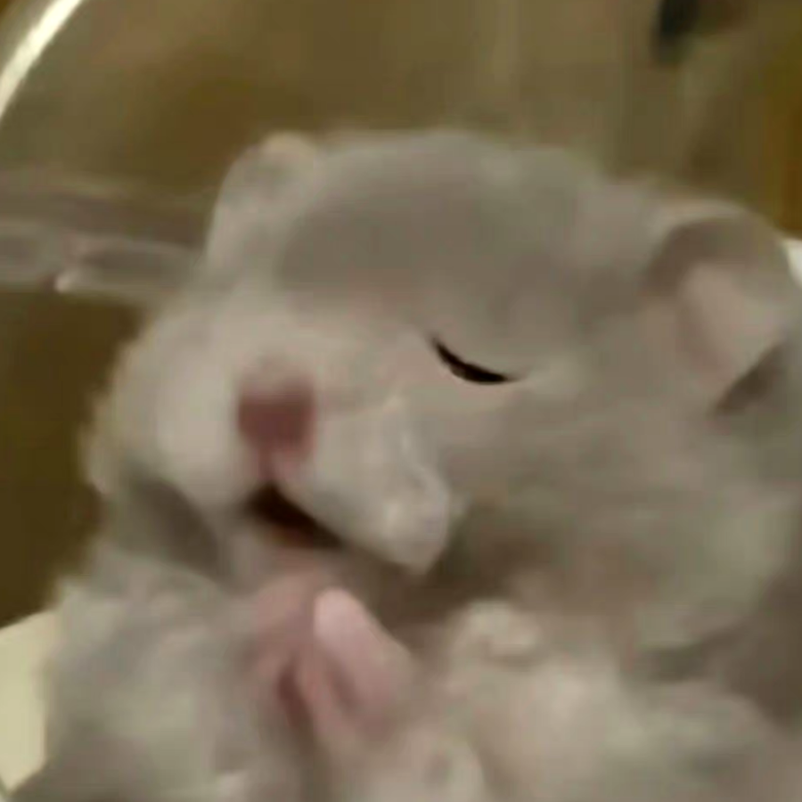 橘子汽水