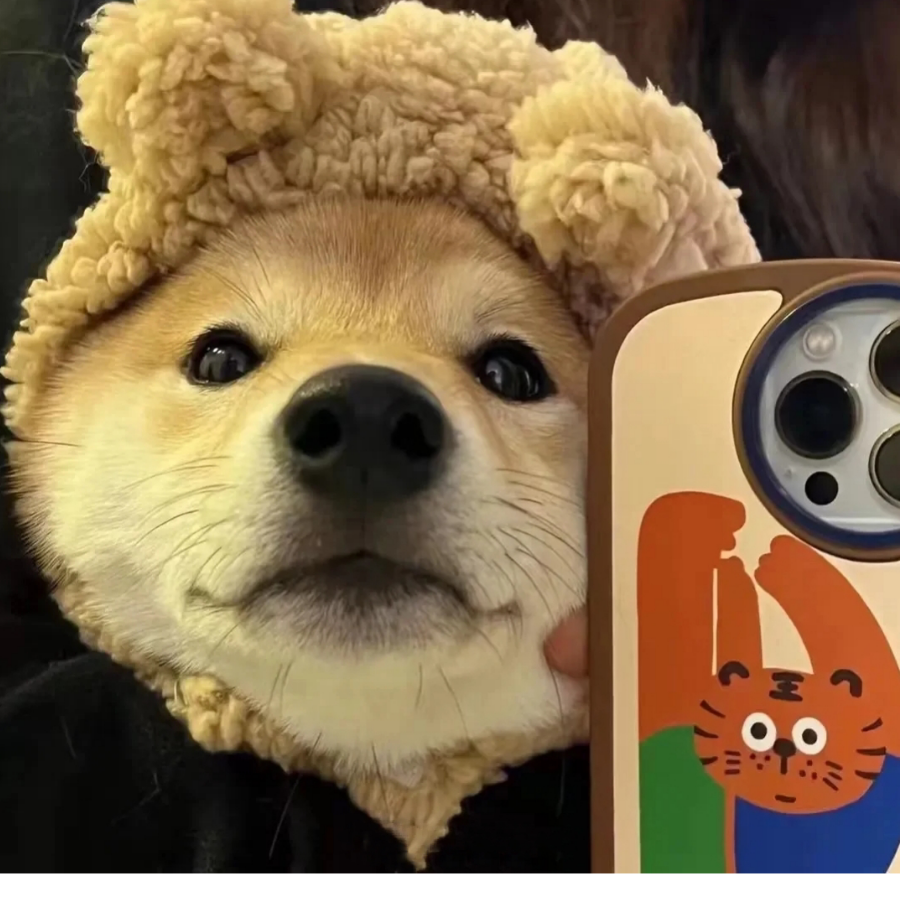 赴约