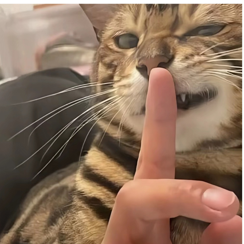 桑榆
