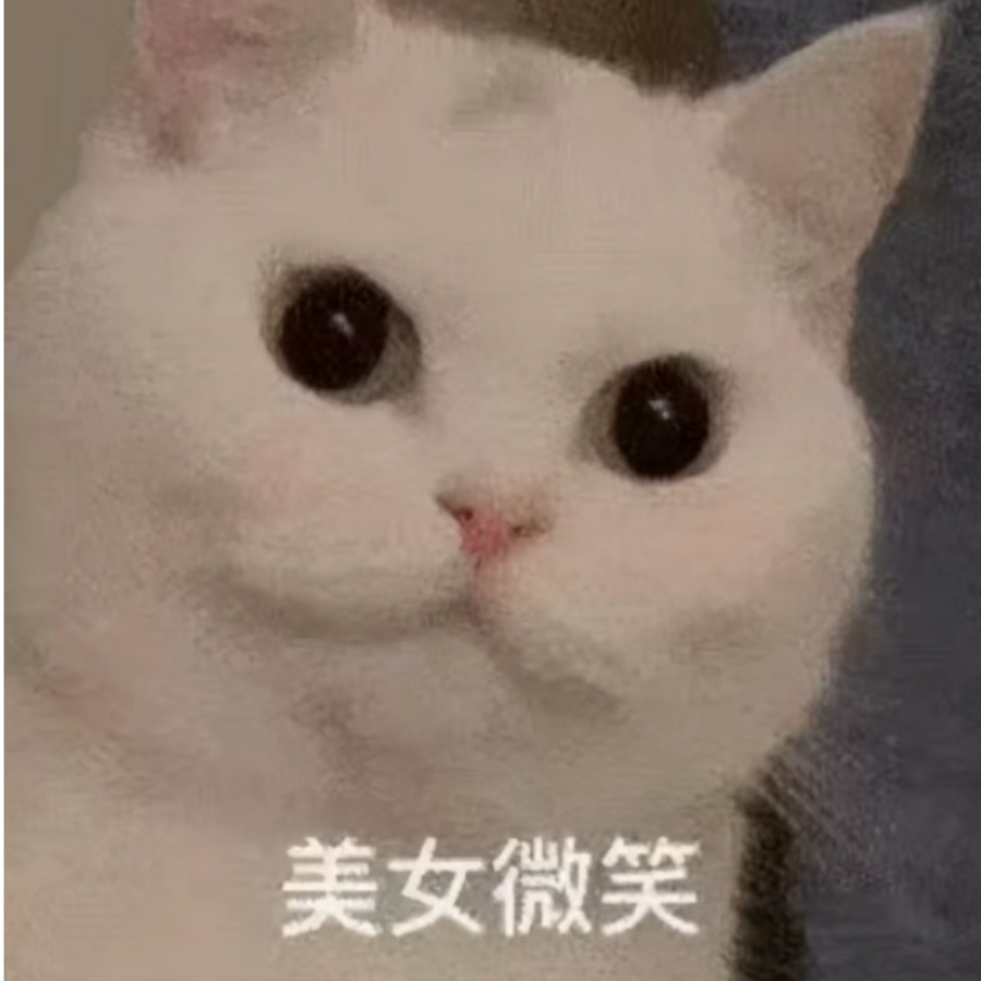 大红红蝴蝶公主