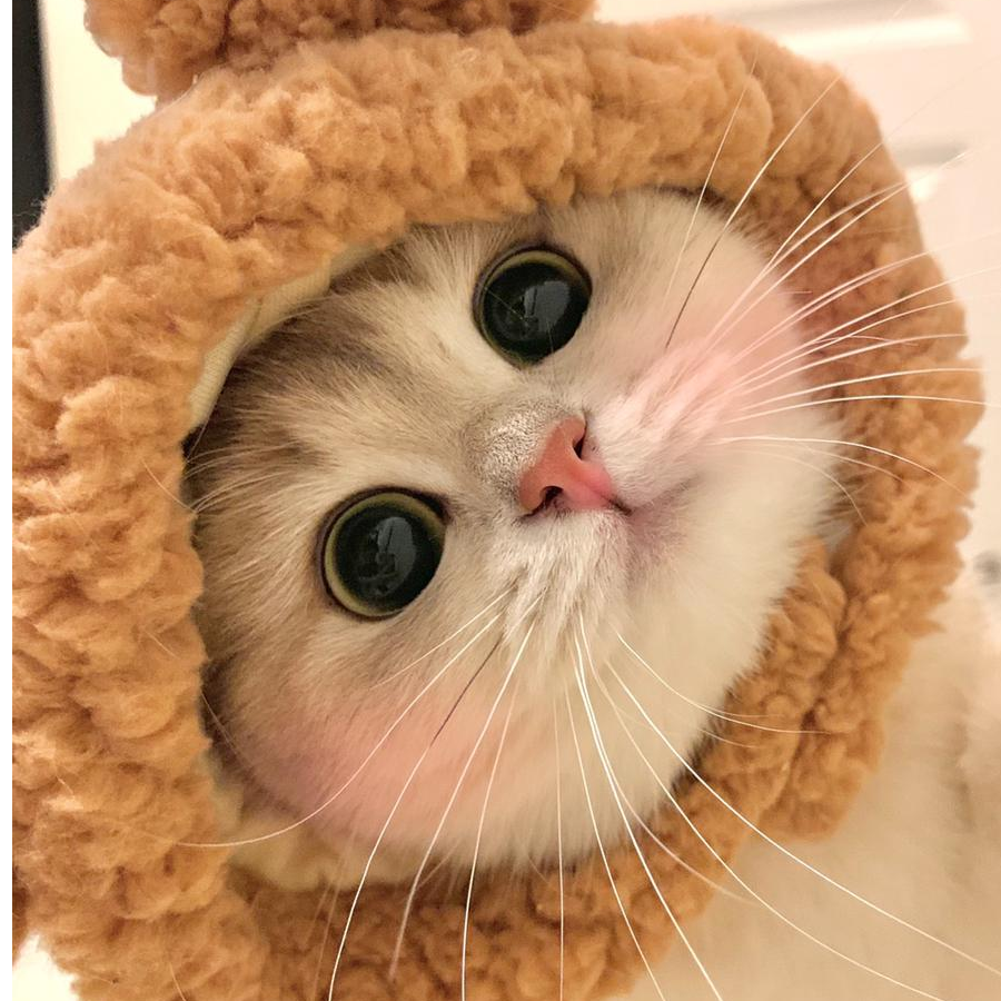 👿👿👿什么鬼👿👿👿