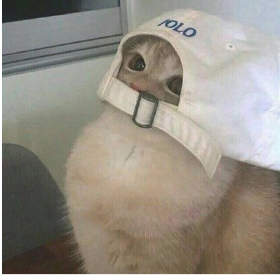 不淡定的青春.