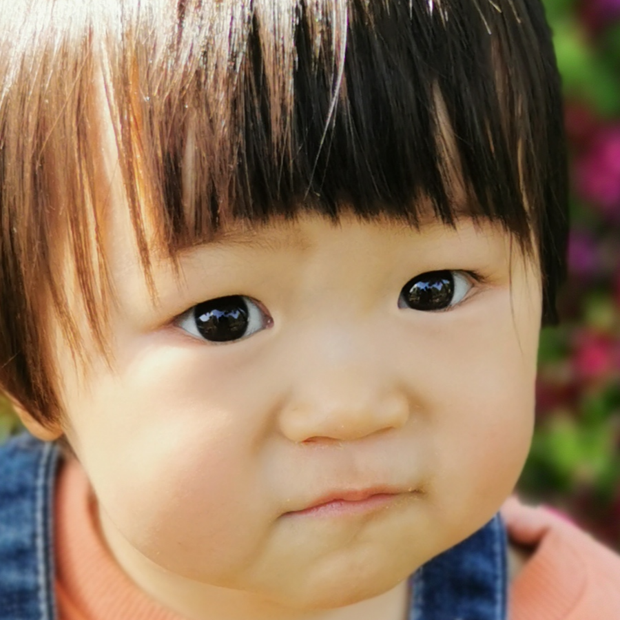 莫问归期
