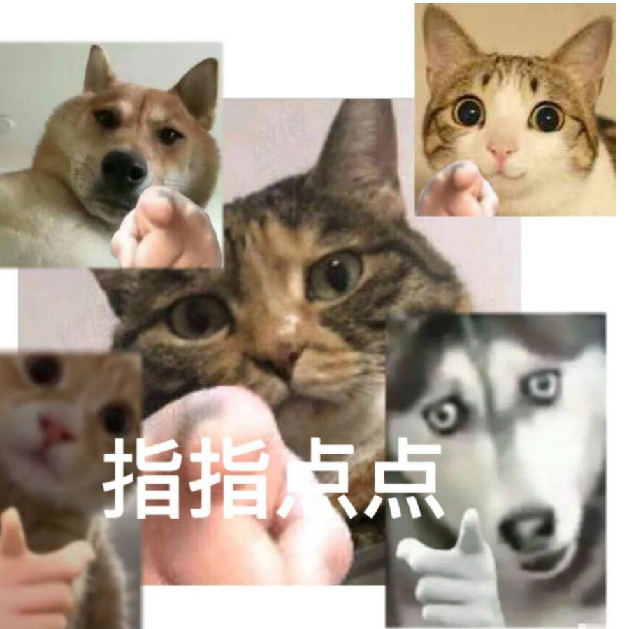 老板来一只烧鸡