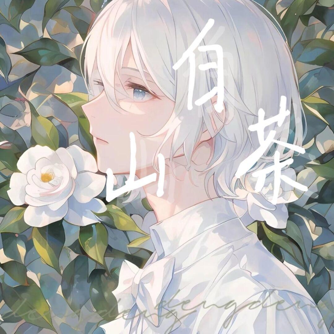 白山茶.camellia