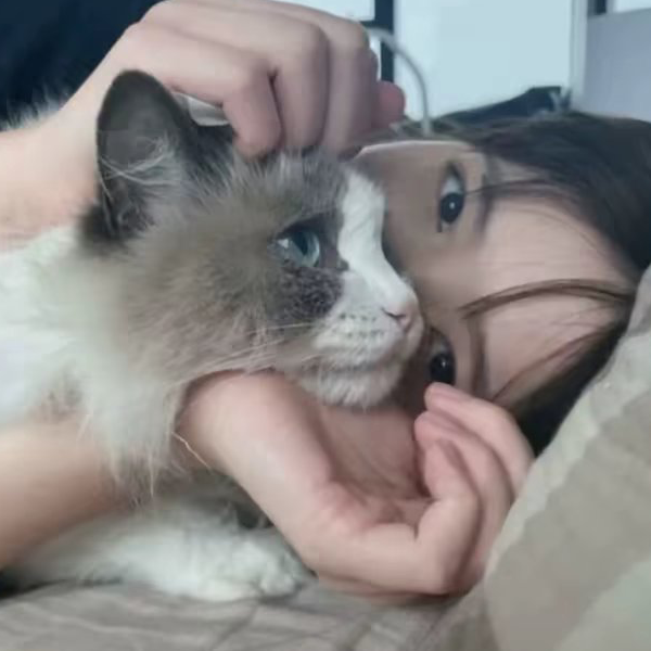乳茶妹.