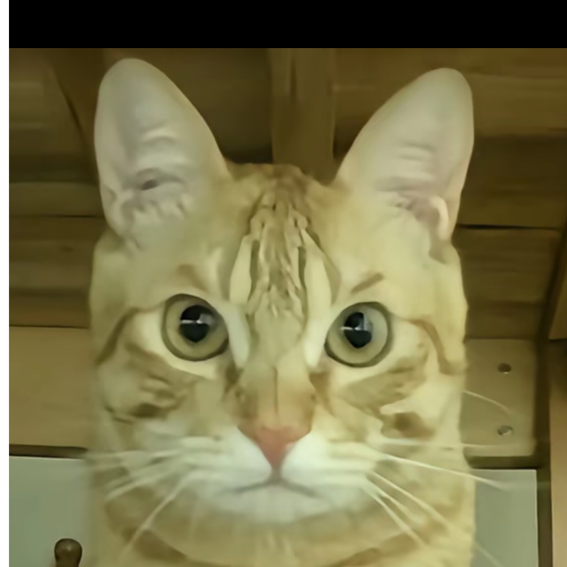 yun