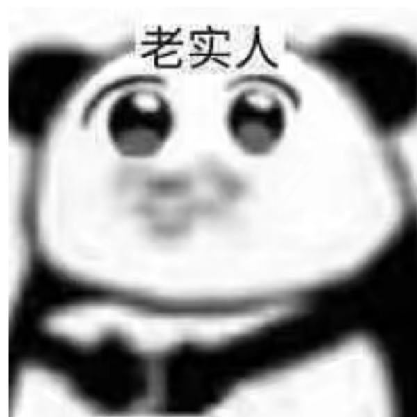 老实人