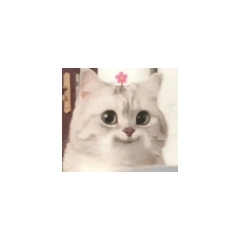 ͏⁠͏͏ ⁠͏: