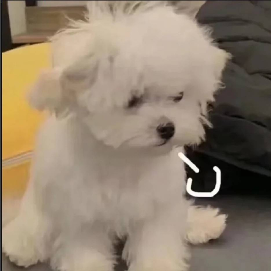 辞