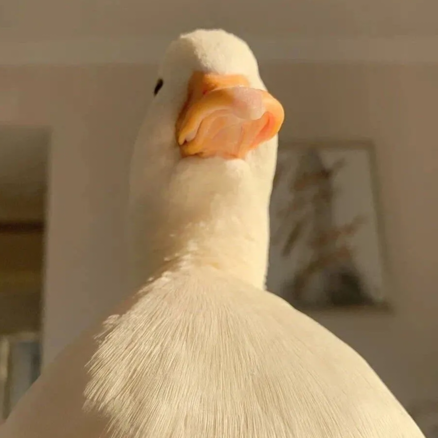 le
