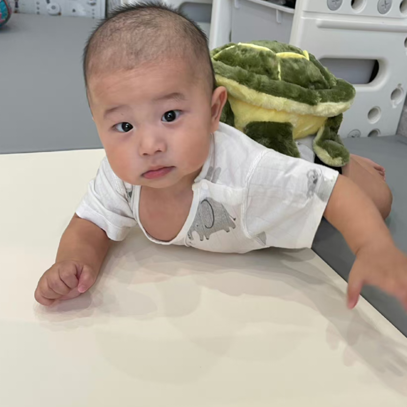 鱼🐟