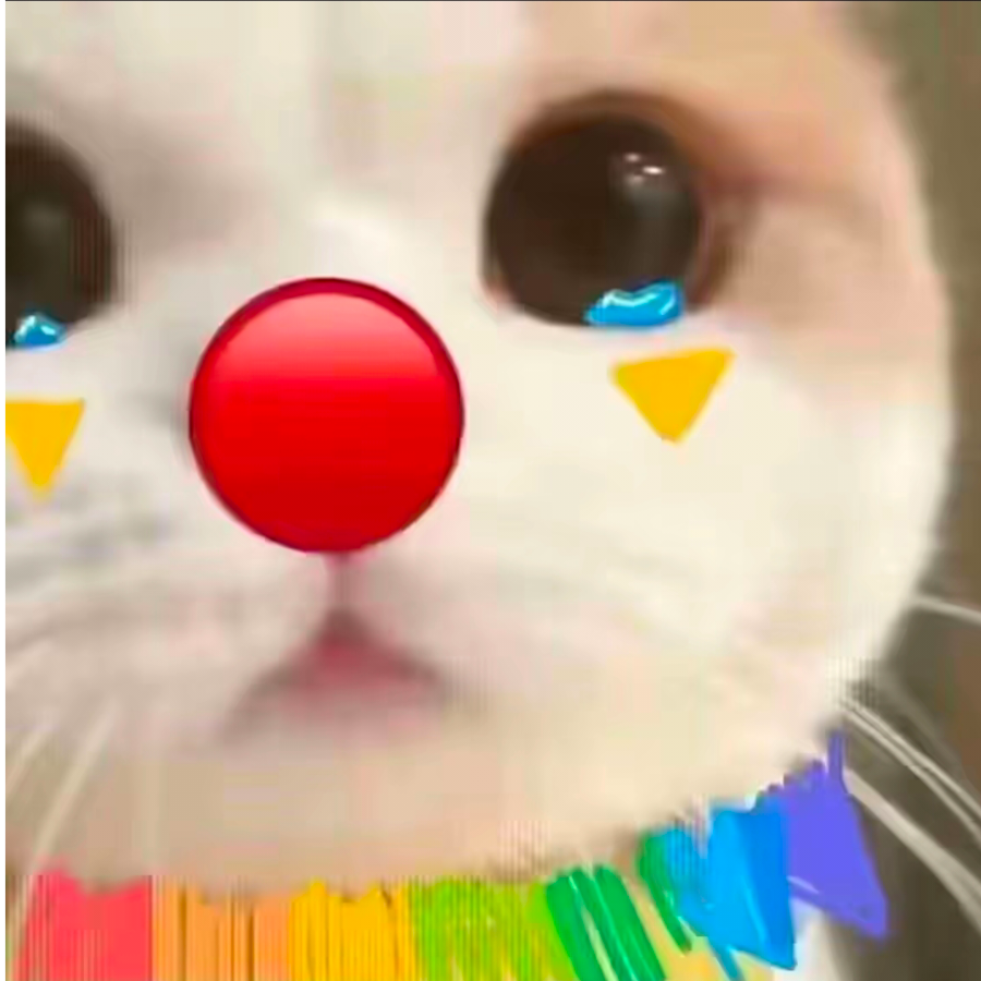 。。。。。。。。