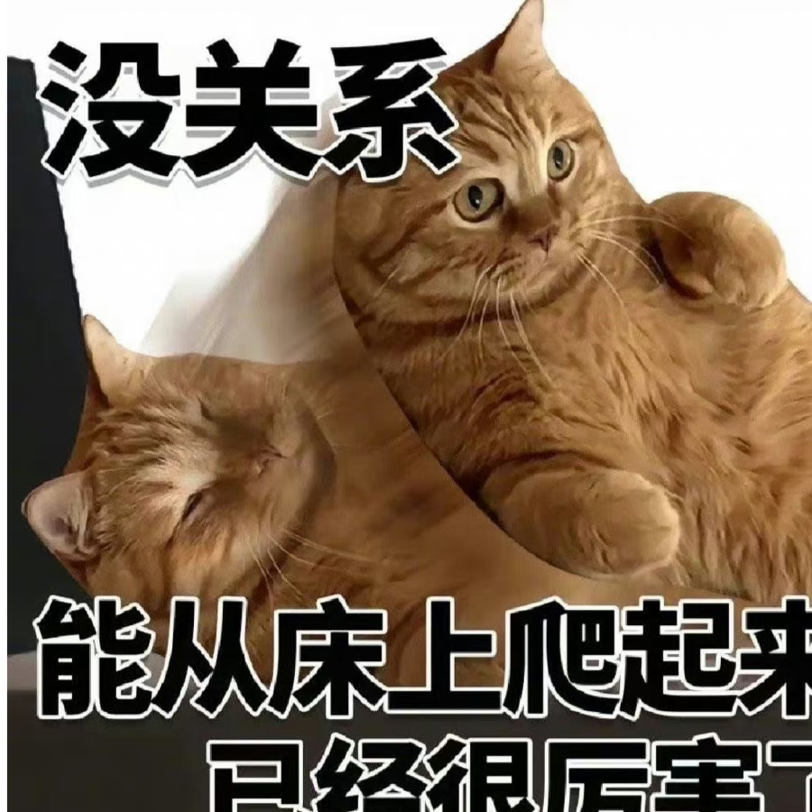 摆烂的鲤鱼王
