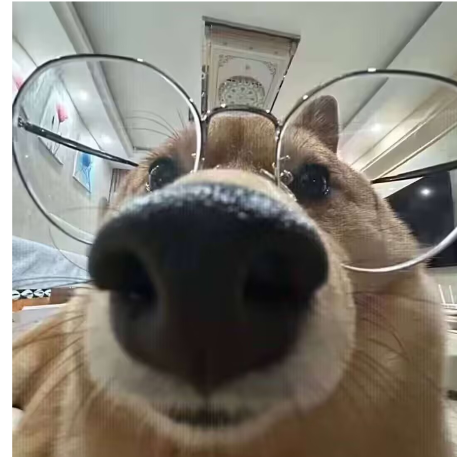余念安
