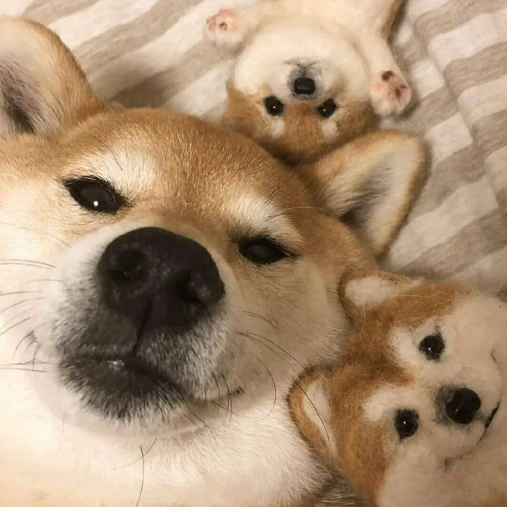 鲸落
