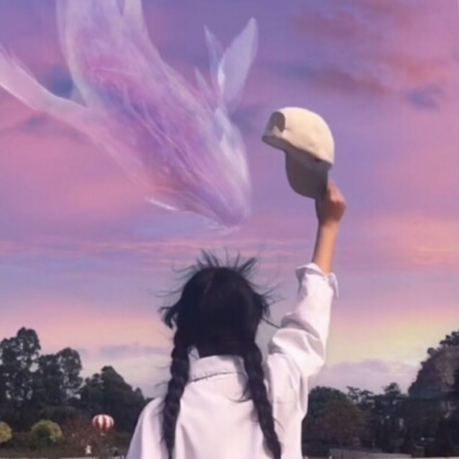 雪宝的天空