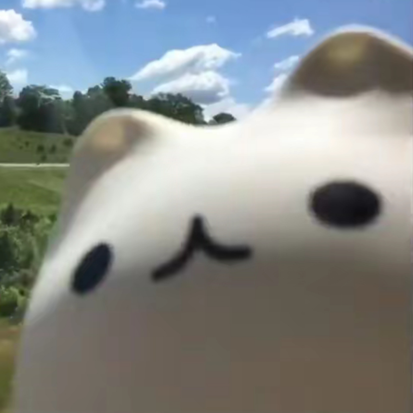 凸凸猫