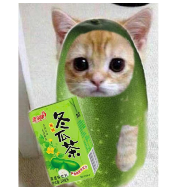 小猫