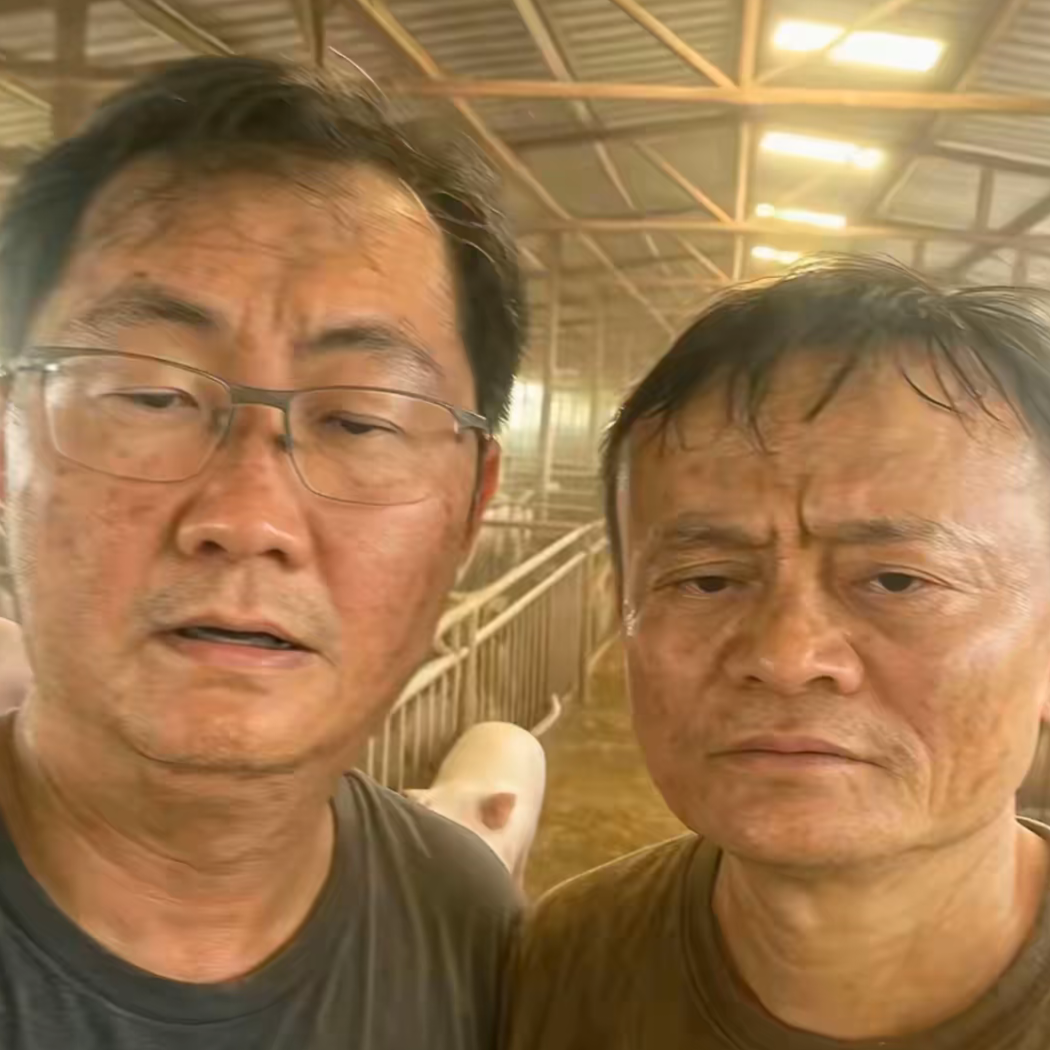 国际辣条协会会长