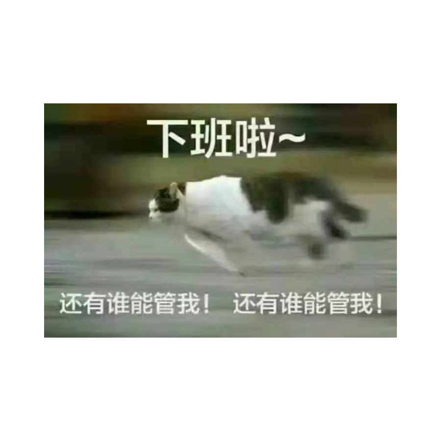 摸鱼划水中