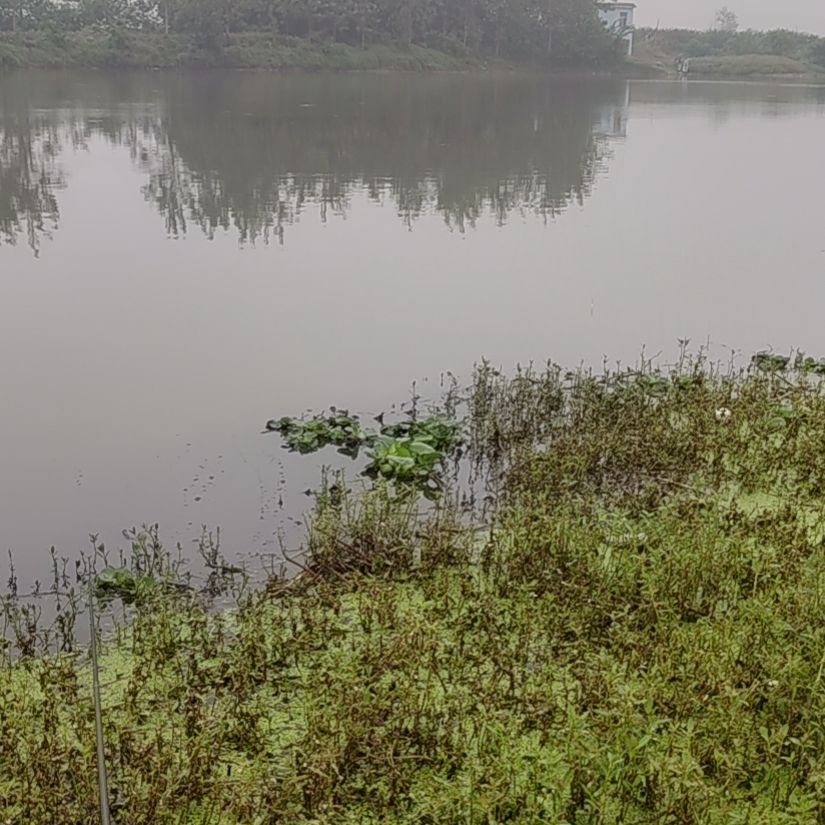 还钱给我